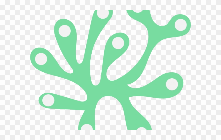 Seaweed Clipart Seeweed - Png Download