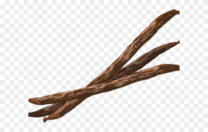 Coffee Beans Clipart Vanilla Bean - Png Download