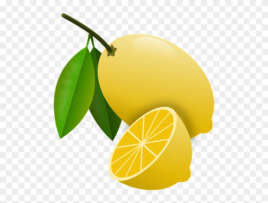 Collection Of Tree Cliparts Buy Any Image - Png Download