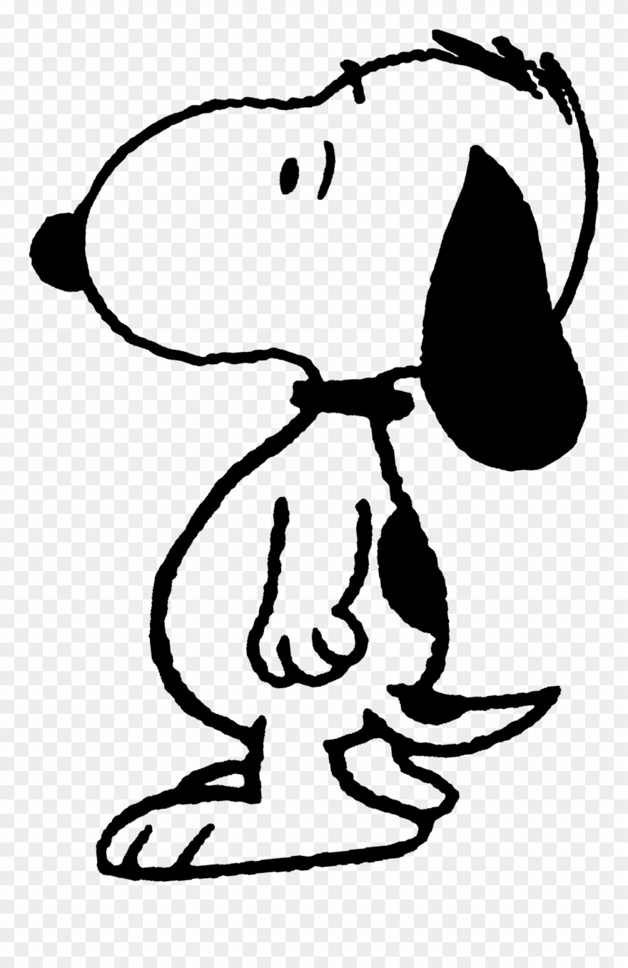 Peanuts Comics, Peanuts Snoopy, Woodstock, Character, Clipart