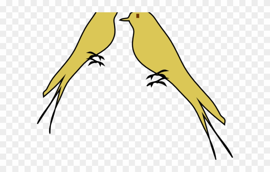Finch Clipart Gold Bird - Png Download