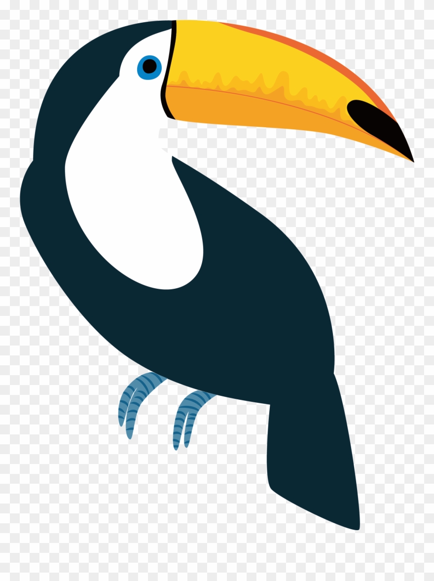 Toucan Vector 1780*2265 Transprent Png Free Download Clipart