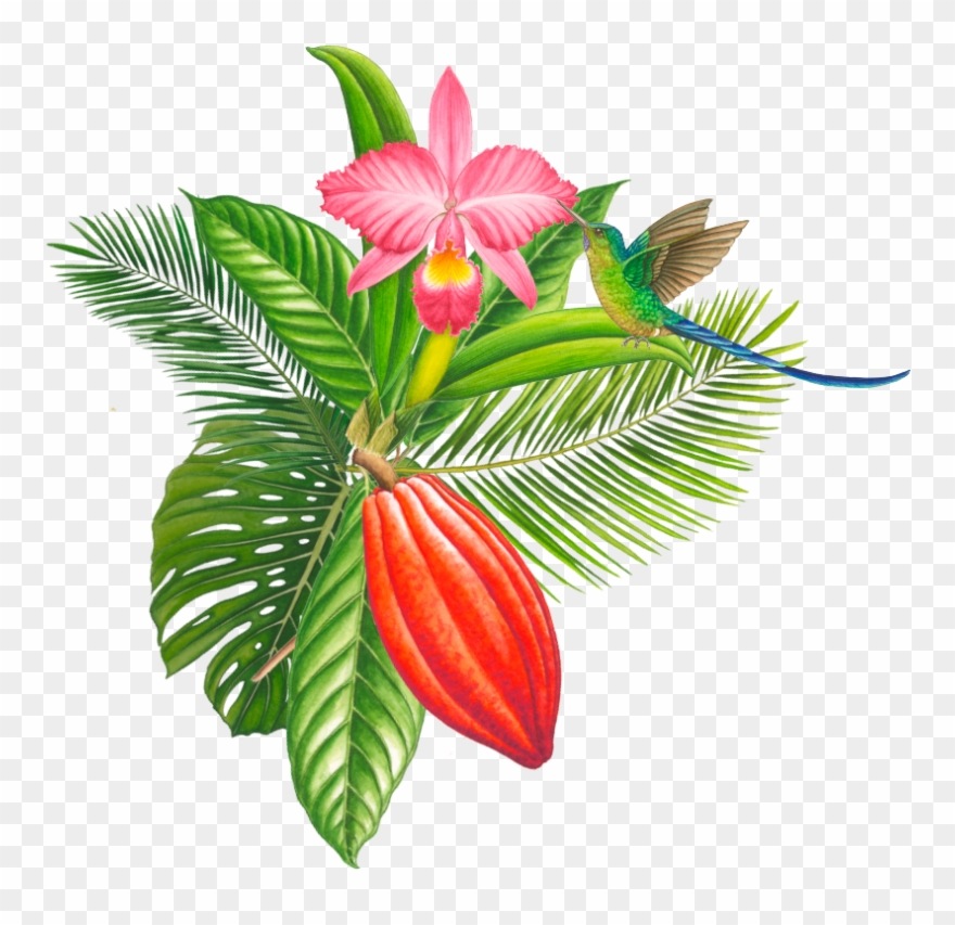 We Can Develop It Chocolate Industrial Clipart