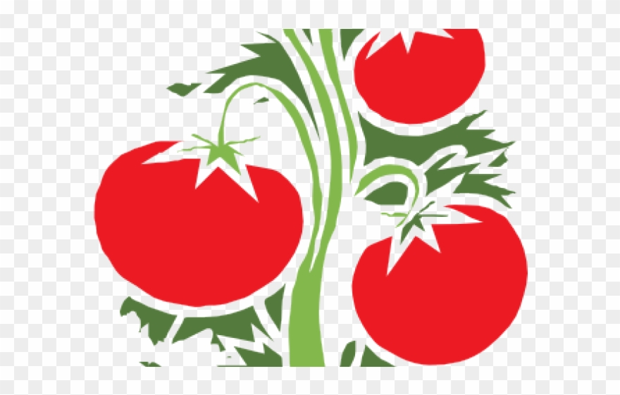 Vines Clipart Animated - Png Download