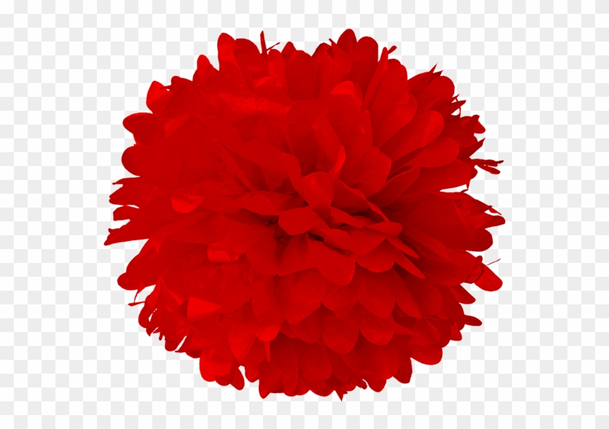 8 Red Tissue Pom Poms Lanterns And More Clipart