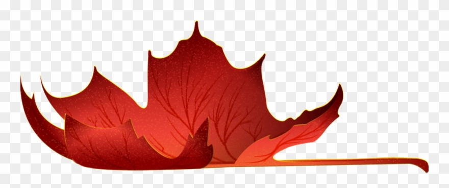 Red Maple Leaf Transparent Clipart