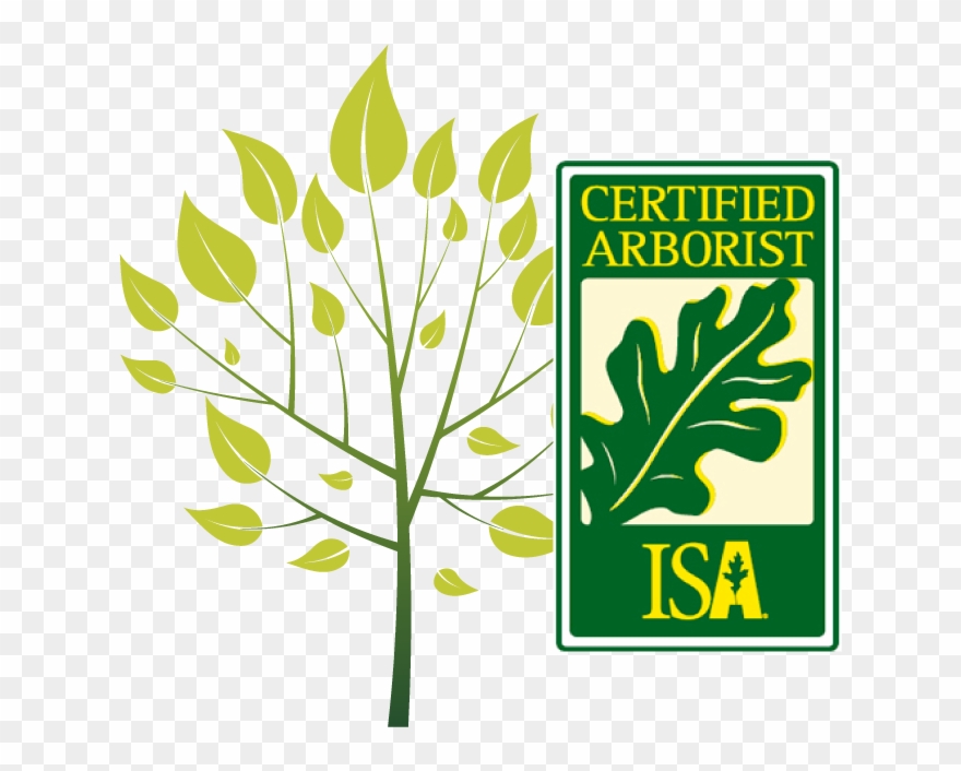 Certified Arborist Isa Clipart