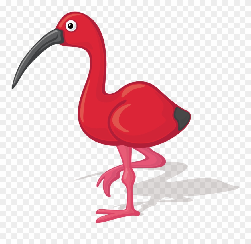 Bird Ibis Cartoon Illustration Transprent Png Free Clipart