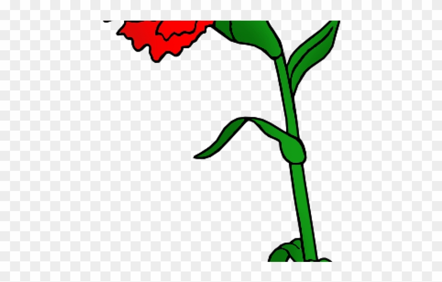 Red Flower Clipart Red Carnation - Png Download