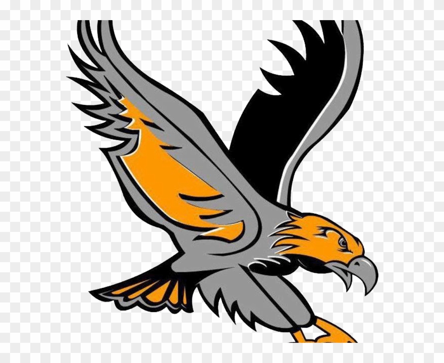 River Hawks Excited For Season Two Clipart