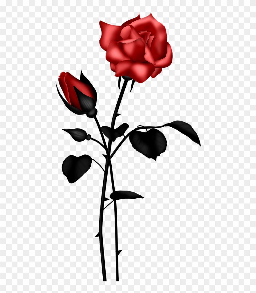 Фото, Автор Andy-video На Яндекс Clipart