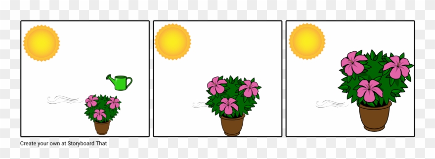 Photosynthesis Clipart