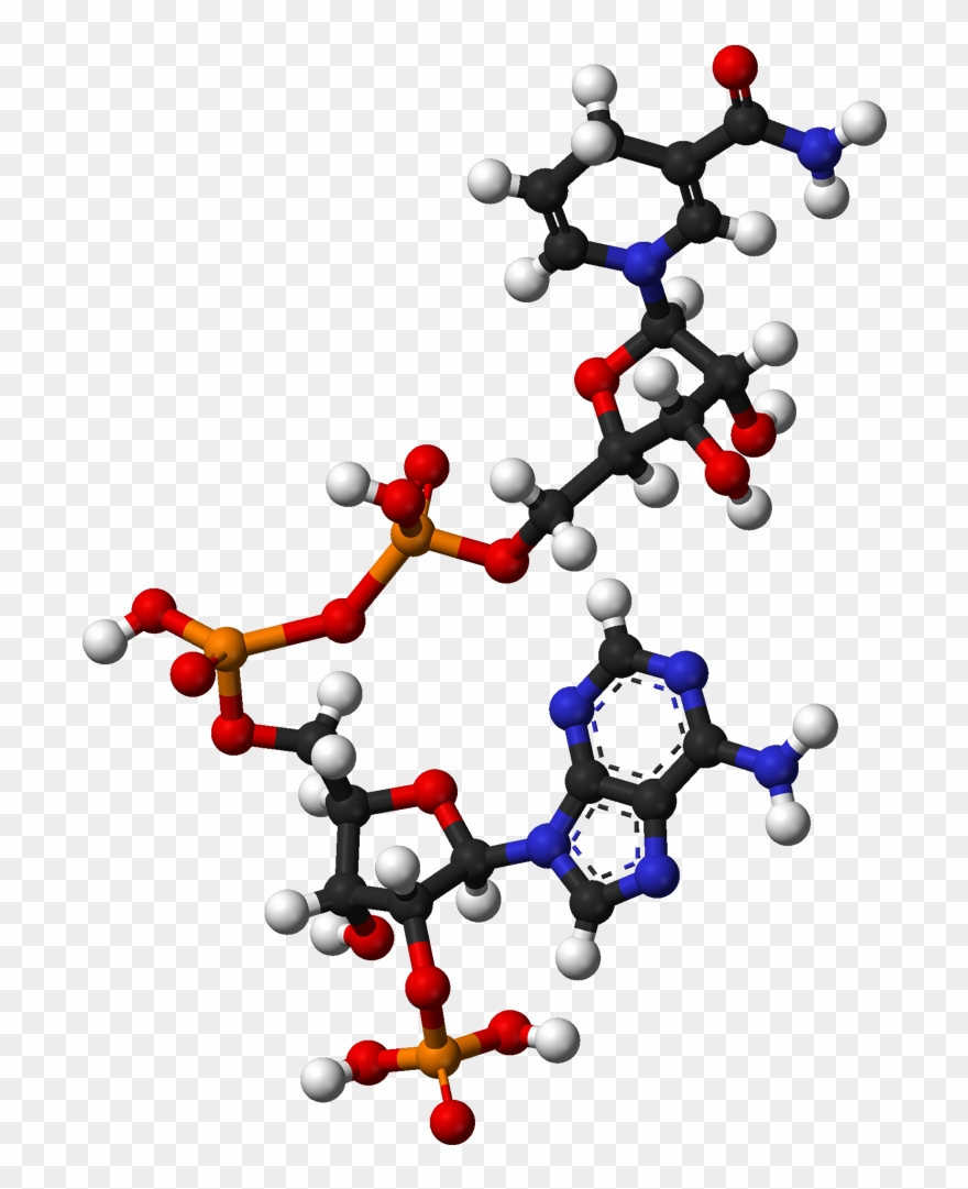 Ball And Stick Model Of Nadph Clipart