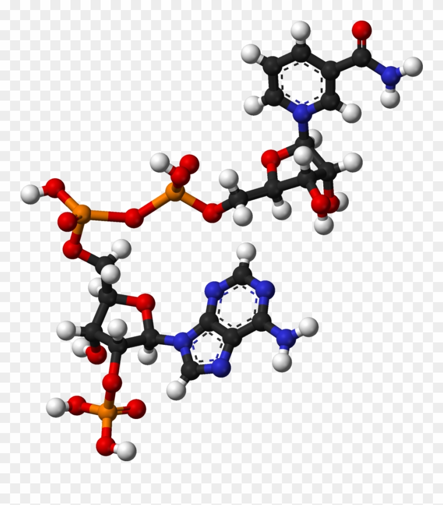 Ball And Stick Model Of Nadp Clipart