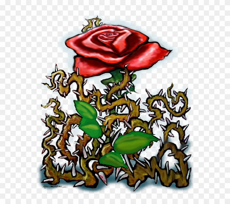 Bleed Area May Not Be Visible Clipart