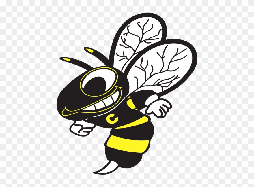 Hornet Clipart Cadott - Png Download