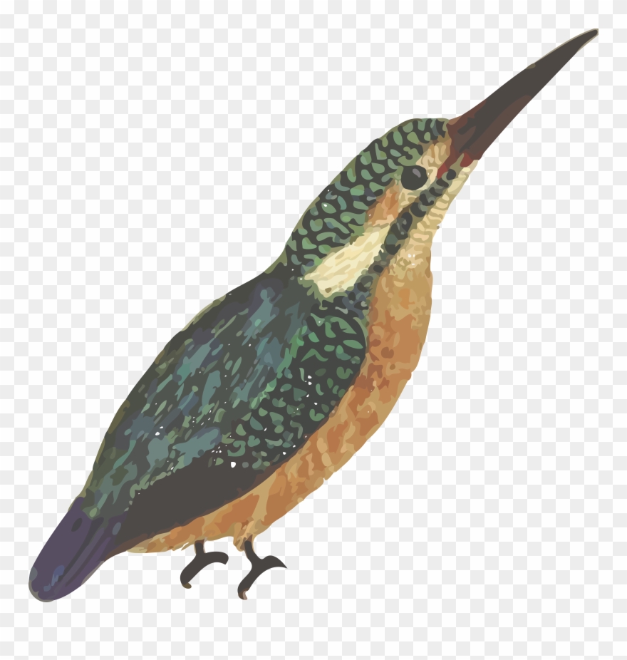 Free Clipart Of A Kingfisher Bird - Png Download