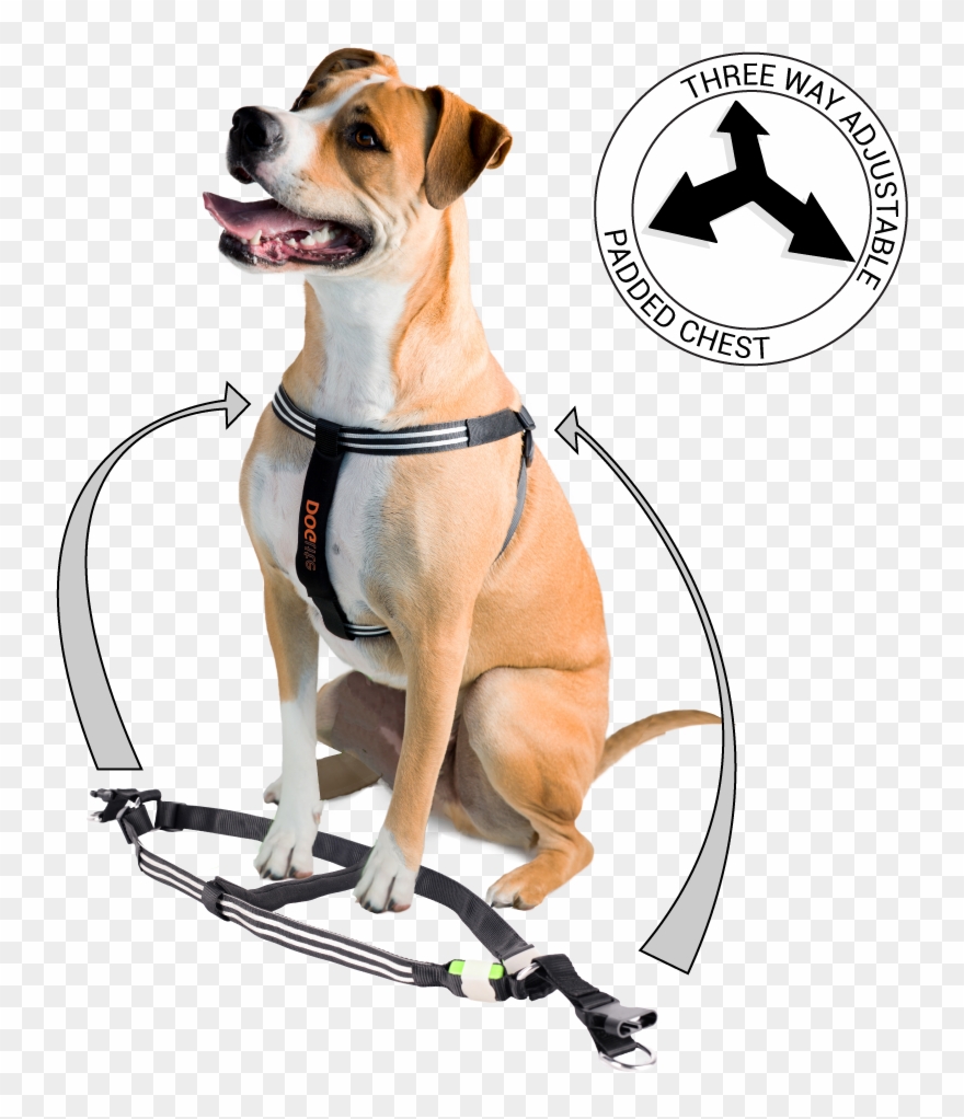 Vector Black And White Download Doglite Double Trouble Clipart