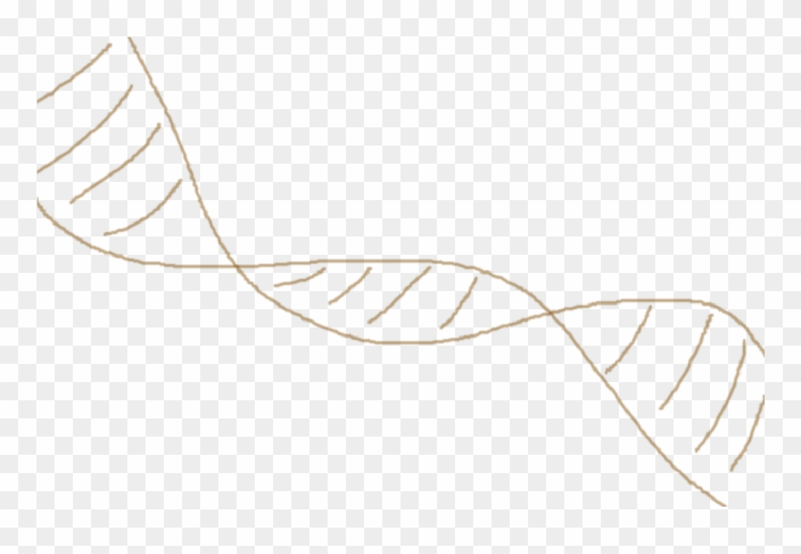 Helix Wallet Clipart