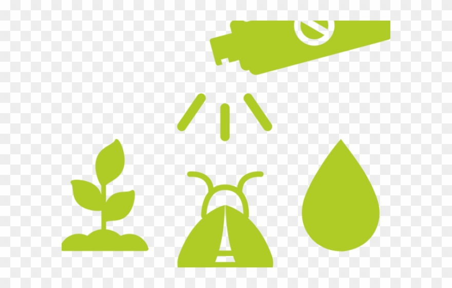 Environmental Clipart Importance Plant - Png Download