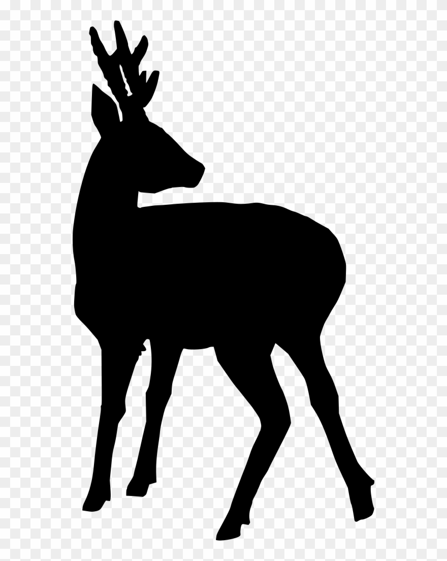 Info Clipart