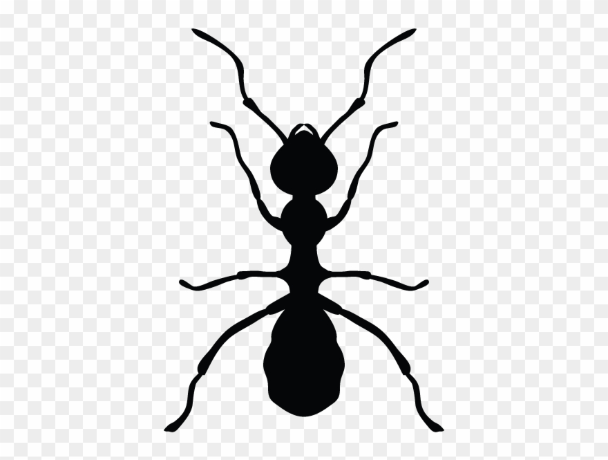 Ants In Minnesota Homes And Offices Clipart