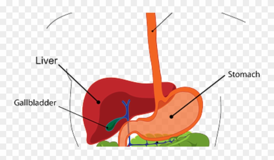 Medical Marijuana Research Clipart