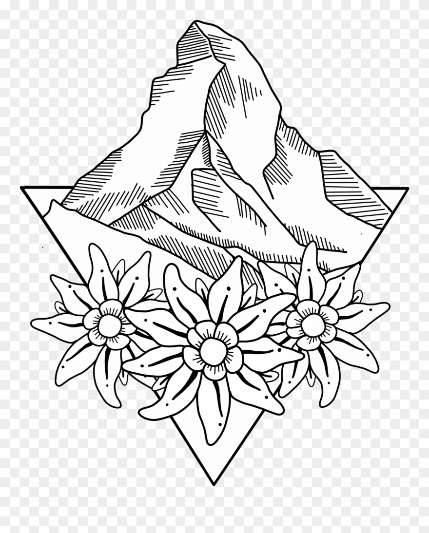 Edelweiss Flower Clip Art - Png Download