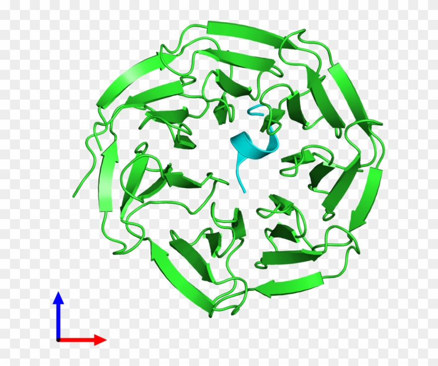 Pdb 4ewr Coloured By Chain And Viewed From The Front Clipart