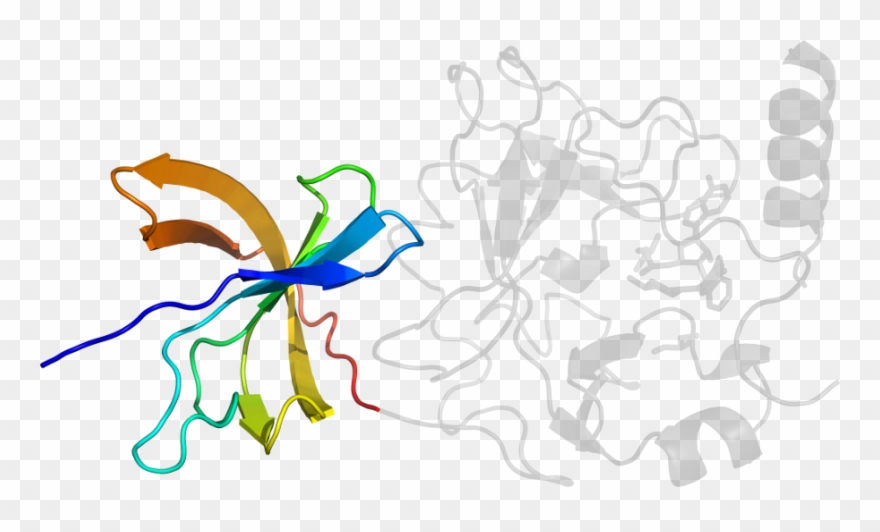 D5ylta1 In Context Of Chain Clipart