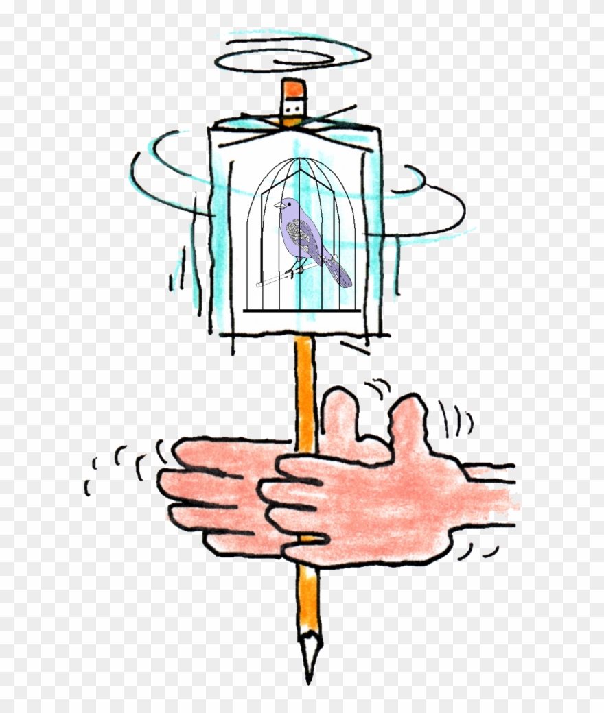 Spin A Bird Cage Clipart