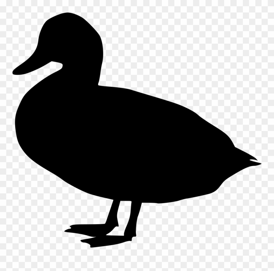Clipart Water Mallard Duck - Png Download