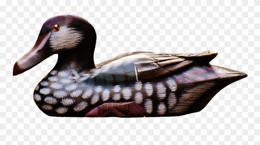 Clipart Duck Mallard Duck - Png Download