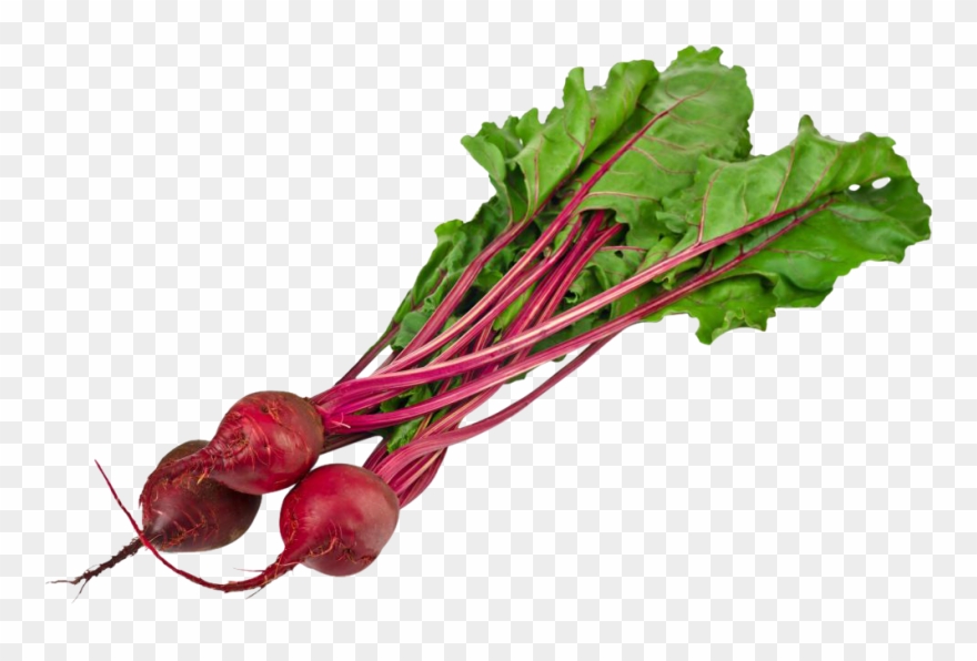 Beet Png Clipart