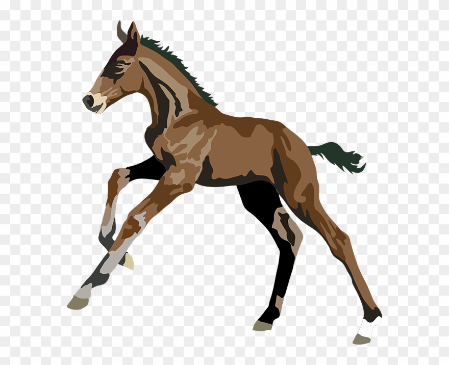 Realistic Horse Art Clipart
