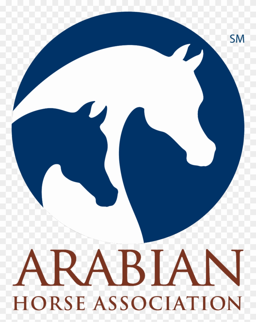 Aha Produces Championship Events, Recognizes Close Clipart