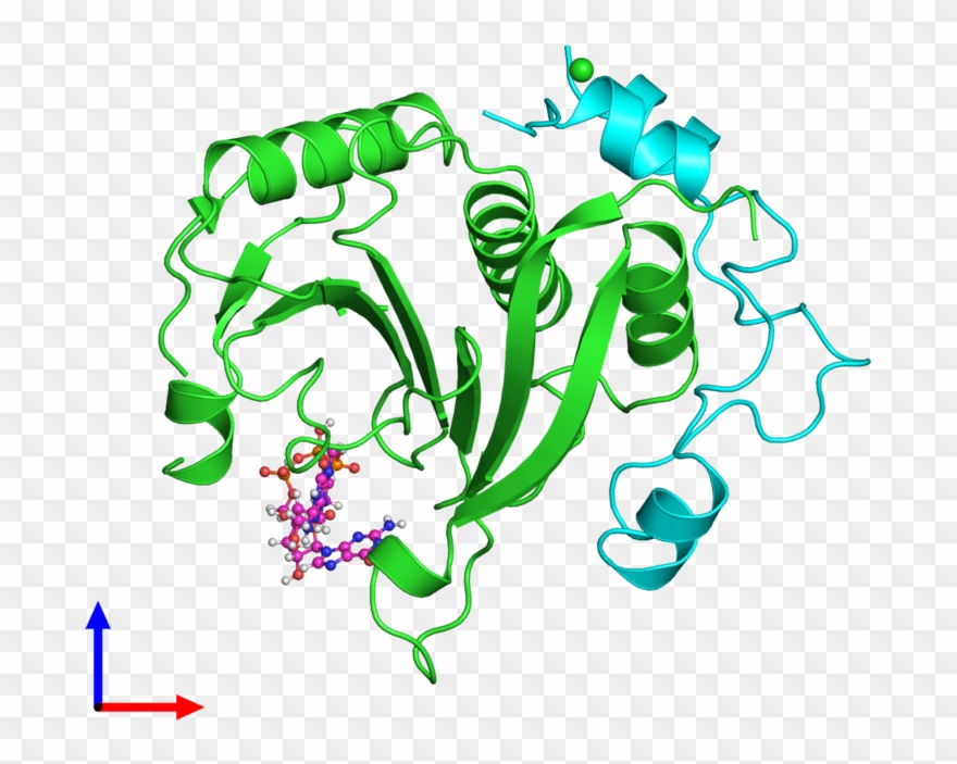 Pdb 5abu Coloured By Chain And Viewed From The Front Clipart