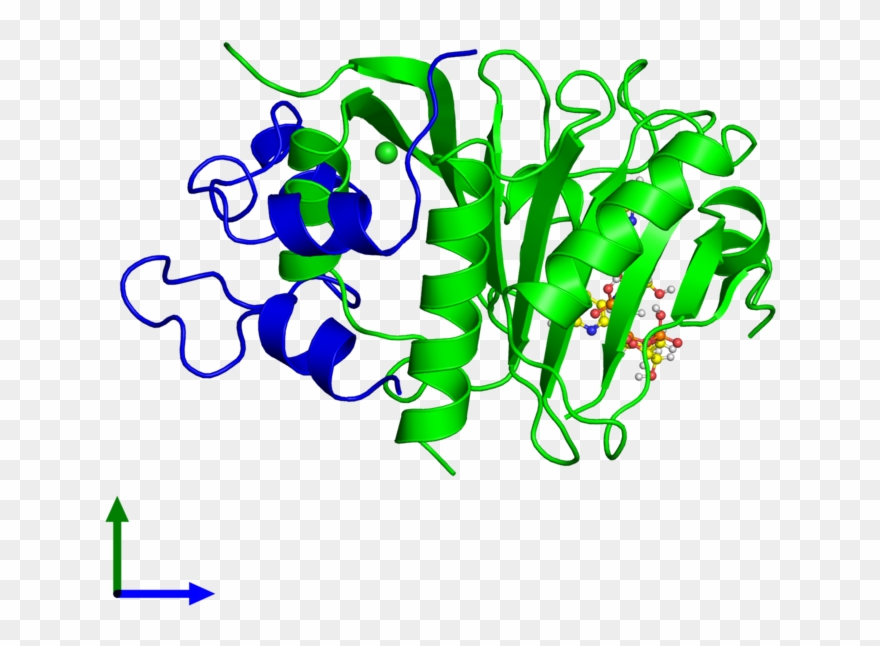<div Class='caption-body'><ul Class ='image Legend Clipart