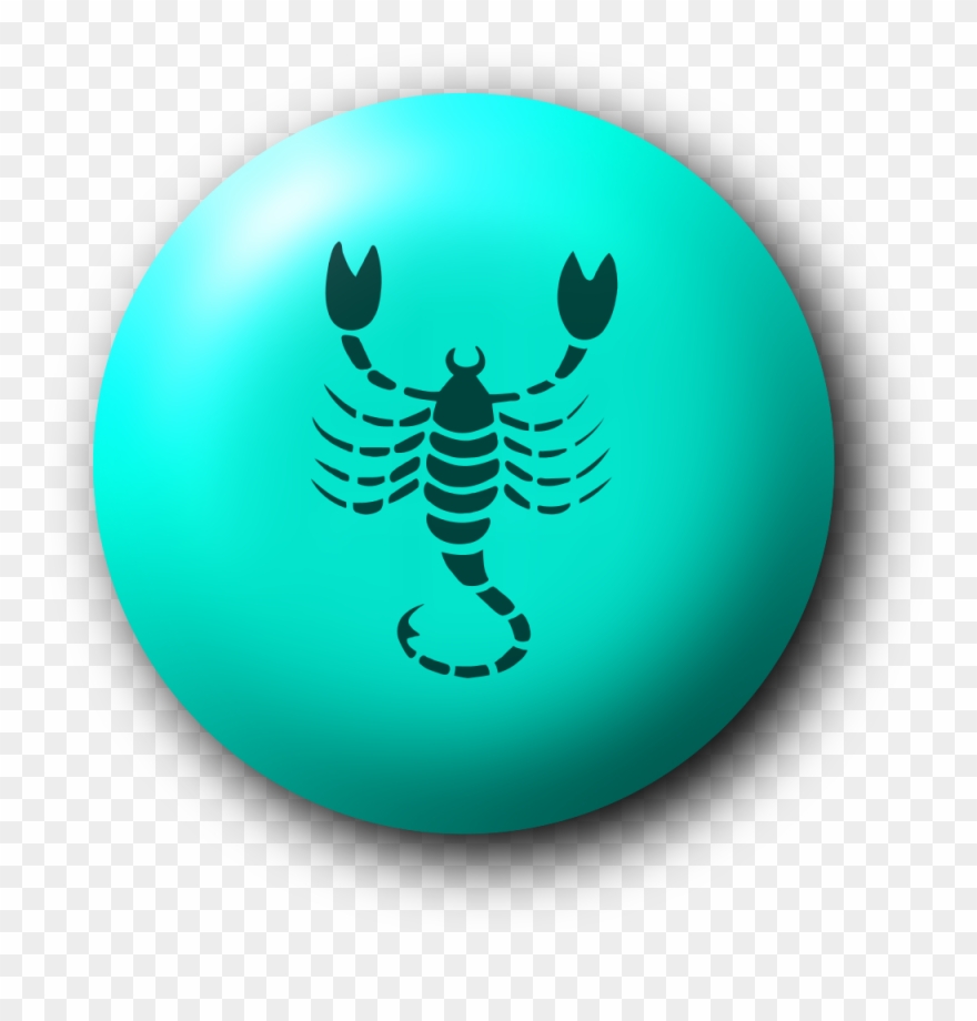 Scorpio Drawing Clipart
