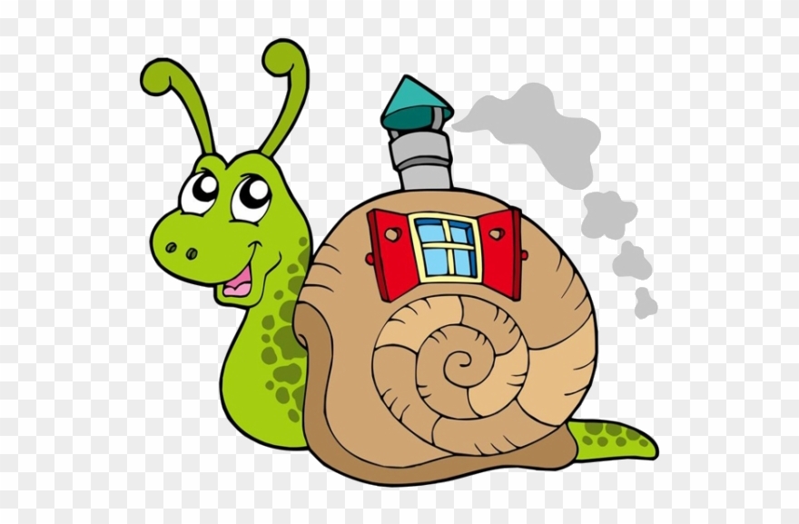 Png Transparent Download Snail Clipart Gastropod