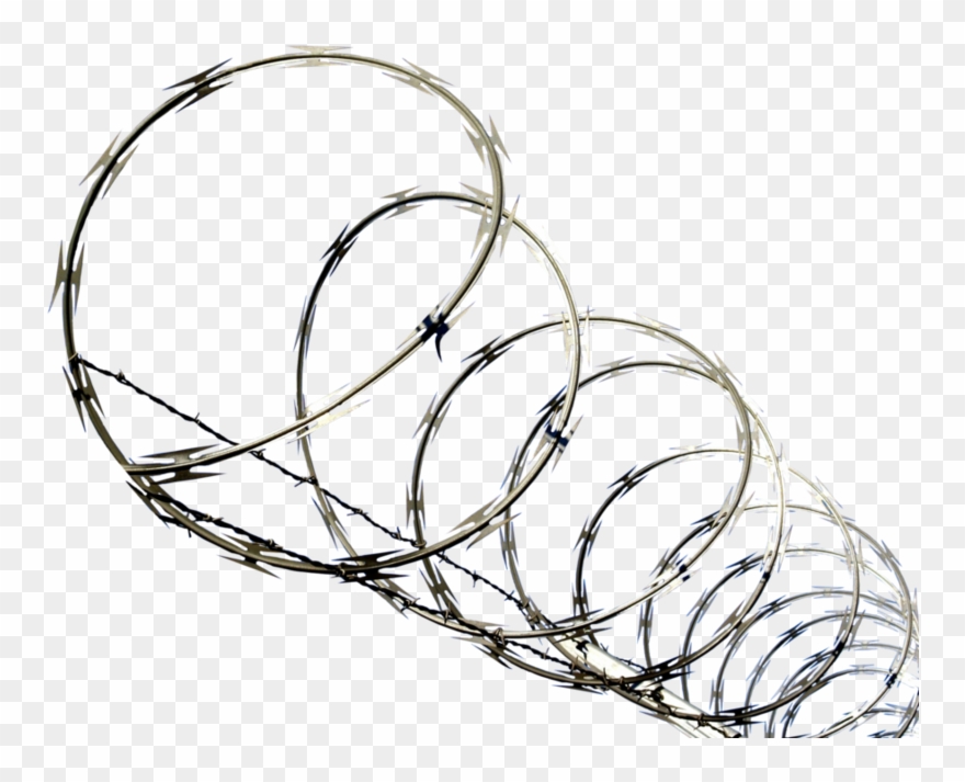 Barbed Wire Clipart Concertina Wire - Png Download