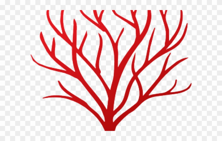 Coral Clipart Red Coral - Png Download