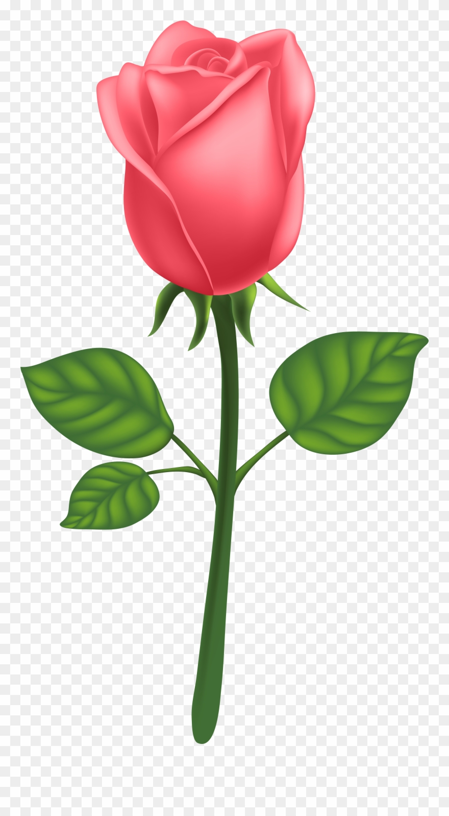 View Full Size Clipart
