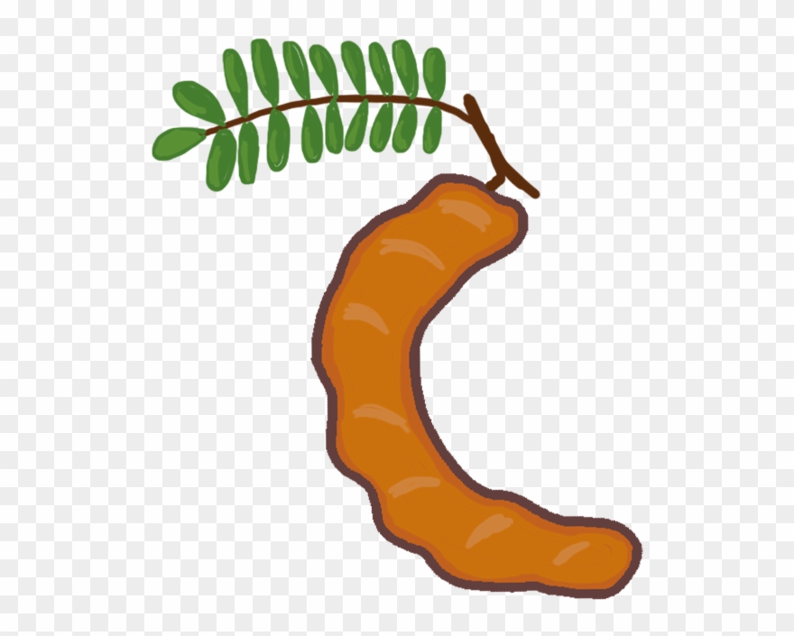 Silverpower Tamarind Silverpower Clipart