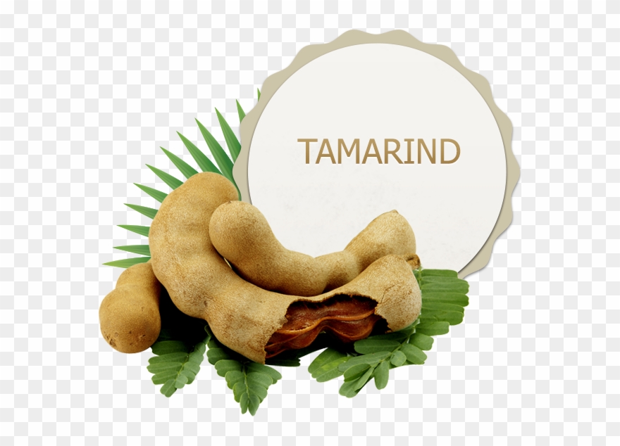 Tamarind Clipart - Png Download
