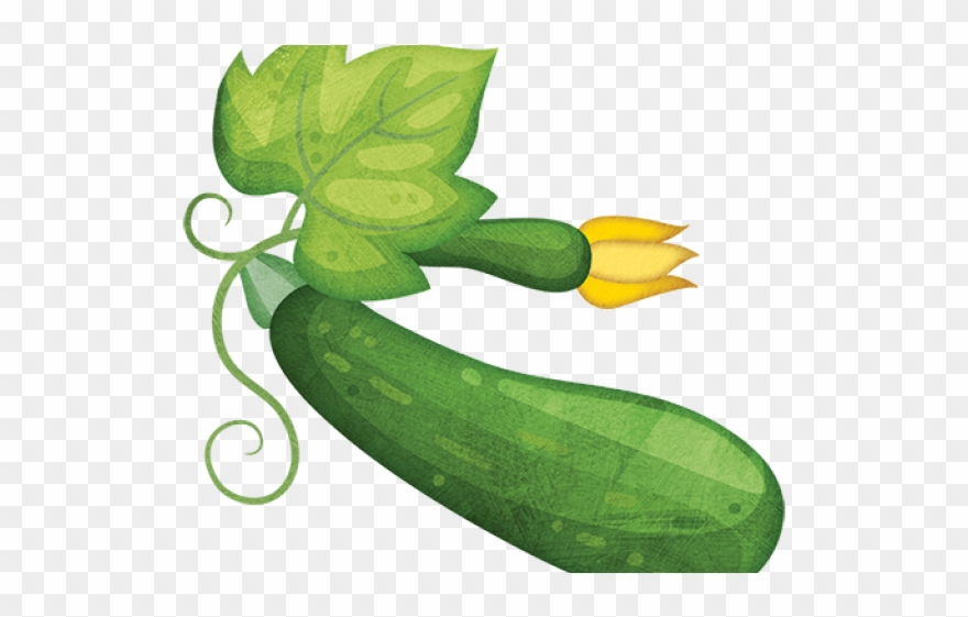 Zucchini Clipart Clip Art - Png Download