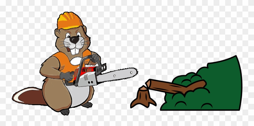 Full Tree Removal, Trimming, Pruning, And Stump Grinding Clipart
