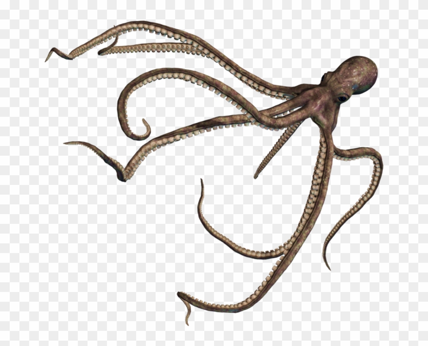 Octopus Free Clipart Hd - Png Download