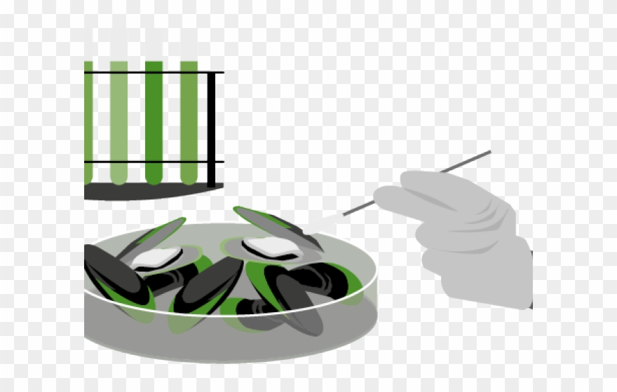 Japanese Food Clipart Church - Png Download