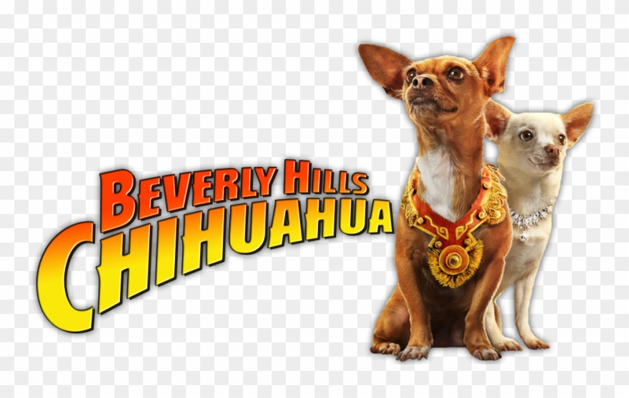 Beverly Hills Chihuahua Image Clipart